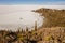 Salar de Uyuni. Giant Cactus Plants against Sunny Blue Sky at Isla del Pescado or Isla Incahuasi