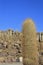 Salar de Uyuni, salt flat, southwestern Bolivia