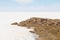 Salar de Uyuni salt plains with large cactuses of island Incahuasi. Bolivia