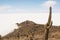 Salar de Uyuni salt plains with large cactuses of island Incahuasi. Bolivia