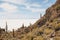 Salar de Uyuni salt plains with large cactuses of island Incahuasi. Bolivia