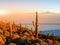 Salar de Uyuni salt plains with large cactuses of island Incahuasi at sunrise time, Andean Altiplano, Bolivia, South