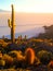 Salar de Uyuni salt plains with large cactuses of island Incahuasi at sunrise time, Andean Altiplano, Bolivia, South