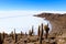 Salar de Uyuni view from Isla Incahuasi