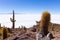 Salar de Uyuni view from Isla Incahuasi