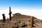 Salar de Uyuni view from Isla Incahuasi