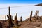 Salar de Uyuni view from Isla Incahuasi