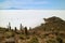 Salar de Uyuni, the world`s largest salt flats view from Isla Incahuasi, the Cactus field Island in the middle of salt flats