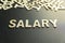 SALARY word