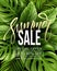 Sale banner, poster with palm leaves, jungle leaf and handwriting lettering. Floral tropical summer background. Vector