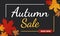 Sale banner promotion autumn season on dark background with falling maple leaves and text. Autumn season and shopping online theme