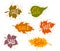 Sale banners in shapes of forest autumn leaves with geometric confetti