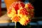 Sale of cactuses in the Flower market