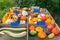 For sale colorful fruits gourds and pumpkins