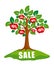 Sale concept: tree with discounts