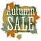 Sale and discount card, banner, flier. Autumn sale title. Maple leaves of different colors: green, orange, yellow