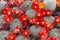 Sale of flowering cacti in the market