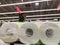 Sale during hype demand rolls of toilet paper packed in cellophane film are sold in a large shopping center during quarantine of