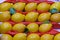 Sale of lemons. Lemons yellow on shop window lying in row under bright light lamps.