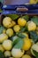 Sale of local lemons in the Bioves gardens in Menton during the lemon festival