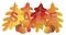 Sale Text on Fall Colors Oak Leaves Vector Illustration