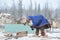 Salekhard, Russia, March 2018, nomadic camp of reindeer herders