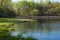 Salem Hills Pond and Woodlands in Spring