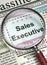 Sales Executive Wanted. 3D.