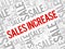 Sales Increase word cloud collage