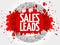 Sales Leads words cloud