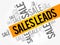 Sales Leads words cloud