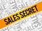 Sales Secret words cloud