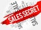 Sales Secret words cloud