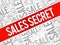 Sales Secret words cloud