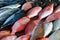 Sales stall - sea bass and tuna, close up.