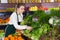 Salesgirl arranging greens