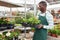 Salesman checking flowering begonias