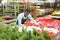 Salesman checking flowering begonias