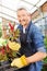 Salesman offering woolflower in nursery shop