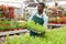 Salesman preparing for sale potted plants