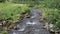 The Saletbach flows along the upper lake