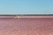 The Salin-de-Giraud salt farm with pink purple salty sea water with algae, salt mining in Europe