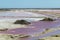 The Salin-de-Giraud salt farm with pink purple salty sea water with algae, salt mining in Europe