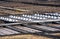 Salinas de Janubio, saltworks in Lanzarote, Canary Islands, Spain