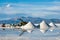 Salinas Grandes Salt desert in the Jujuy, Argentina