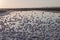 Saline evaporation ponds