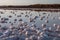 Saline evaporation ponds