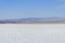 Saline lagoon San Pedro de Atacama