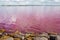 Salins pink coloured salt marshes.