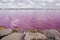 Salins pink coloured salt marshes.